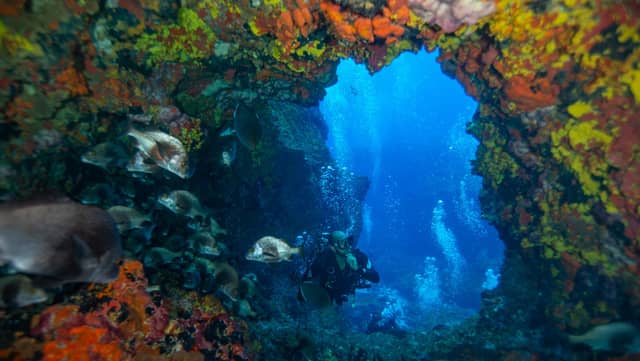Ein Taucher schwebt in einem felsigen Unterwasserbogen, der mit orangefarbenen, roten und gelben Schwämmen bedeckt ist, umgeben von einem Schwarm Rifffische mit blauem Wasser im Hintergrund