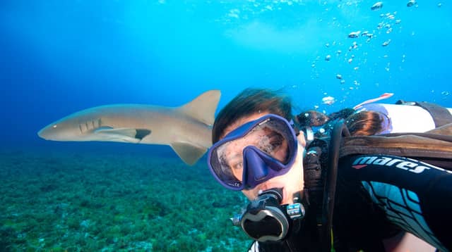 Taucher macht ein Nahaufnahme-Selfie mit einem Riffhai in klarem blauem Wasser bei einem Abenteuer-Tauchgang in Brasilien