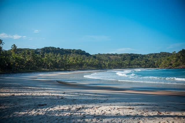 Menschenleerer weißer Sandstrand bei einer Itacaré-Tour mit sanften Atlantikwellen und einer dichten Kulisse aus Palmen und Atlantischem Regenwald unter blauem Himmel