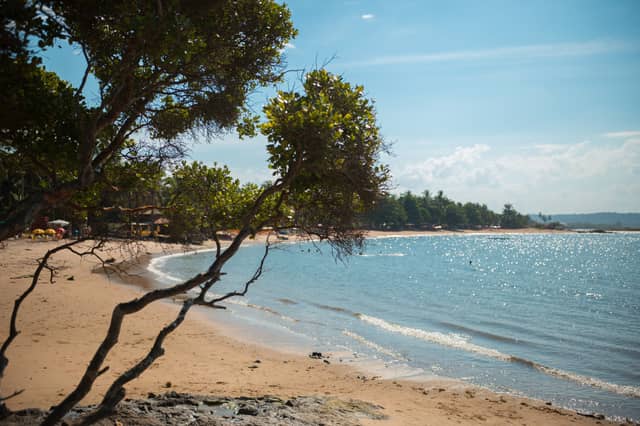 Sonnenbeschienener Sandstrand bei einer Itacaré-Tour, einheimische Bäume neigen sich über ruhiges, glitzerndes Wasser, im Hintergrund eine palmengesäumte Küste