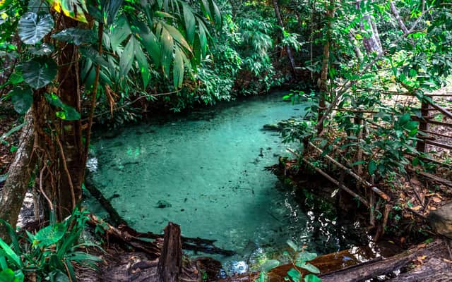 Türkisfarbener Fervedouro-Quellpool umgeben von dichtem tropischen Regenwald im Jalapão-Nationalpark, mit kristallklarem Wasser über sandigem Boden