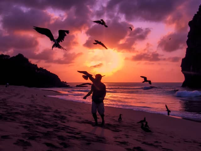 Silhouet van een persoon op een zandstrand omringd door vliegende zeevogels tijdens een levendige paars-oranje zonsondergang in Brazilië