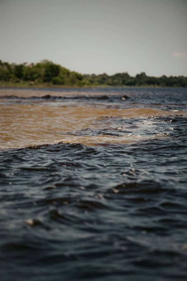 Dark blackwater and sandy-brown whitewater rivers meeting side by side on a manaus jungle tour, with lush green forest lining the far bank