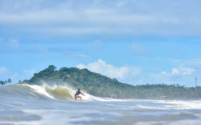 A woman crouching low on her surfboard rides a curling wave during surf lessons in Itacaré, with a forested headland and palm-lined beach visible in the background