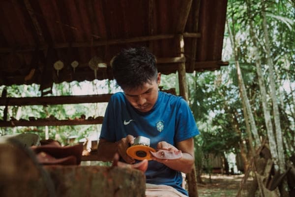 Floresta amazônica preservada graças ao turismo sustentável retratado no documentário