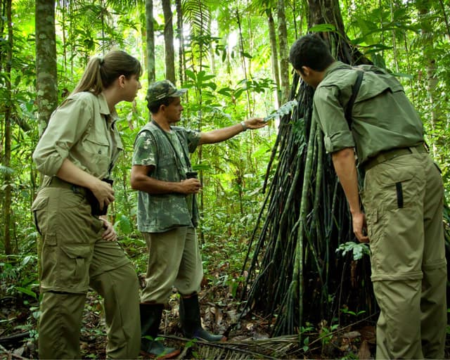 Amazonas besuchen: dein Reiseführer für den Regenwald in Brasilien