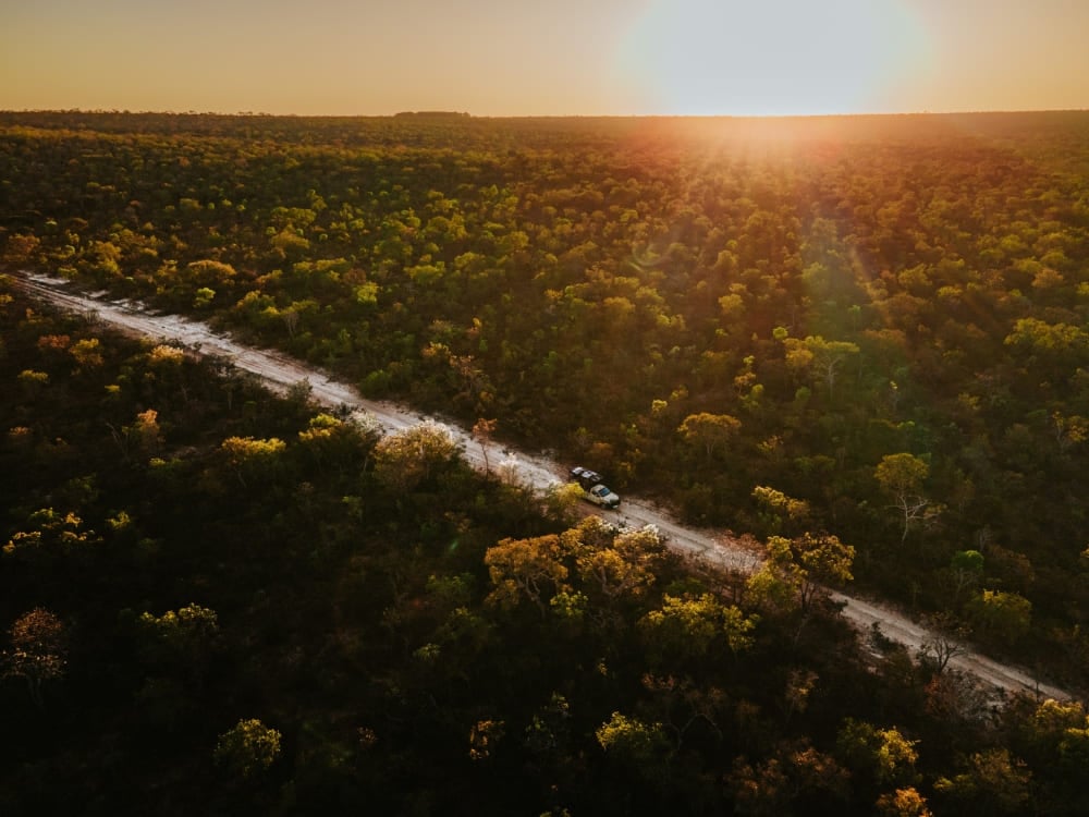 Osservazione della fauna nella savana tropicale del Cerrado.