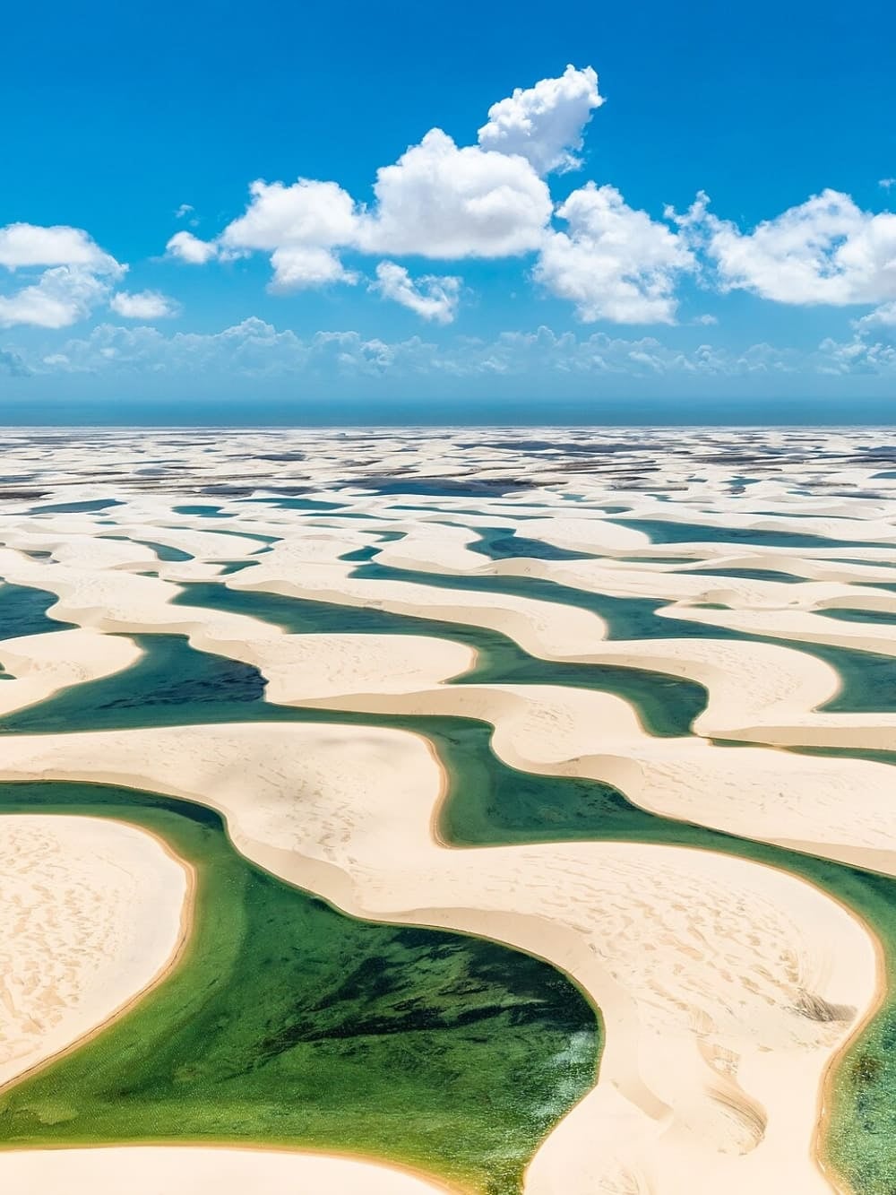 Aerial view of white sand dunes and freshwater lagoons stretching across the Lencois Maranhenses landscape under a blue sky.