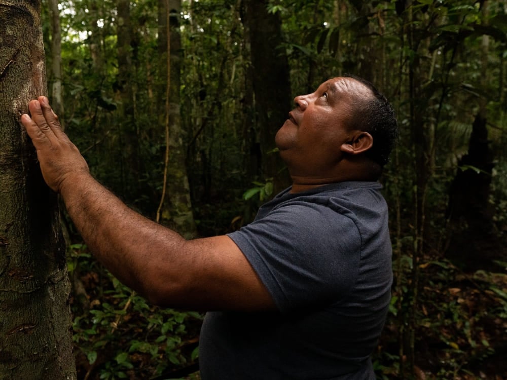 Guardians of the Amazon Rainforest - Roberto Brito