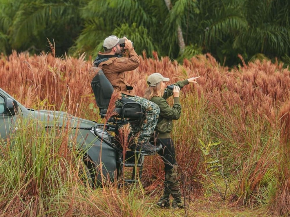 Two tourists use binoculars to spot Pantanal animals during a safari trip in the wetlands.