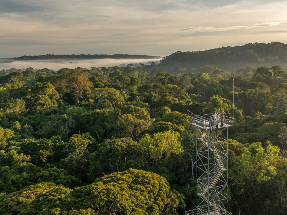 Tourists stand on an observation tower above the canopy at Cristalino Lodge, a top Amazon rainforest hotel.