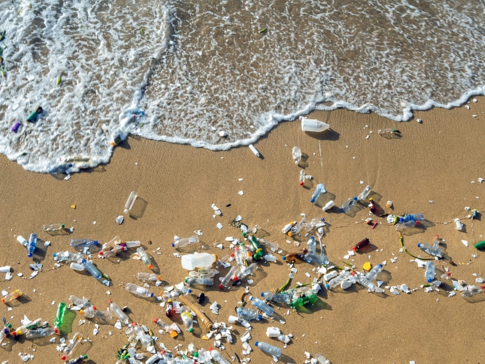 Fernando de Noronha senza plastica
