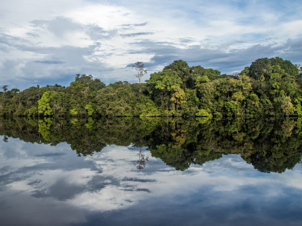 La densa foresta amazzonica verde si riflette come uno specchio perfetto sulle acque calme e scure del fiume.