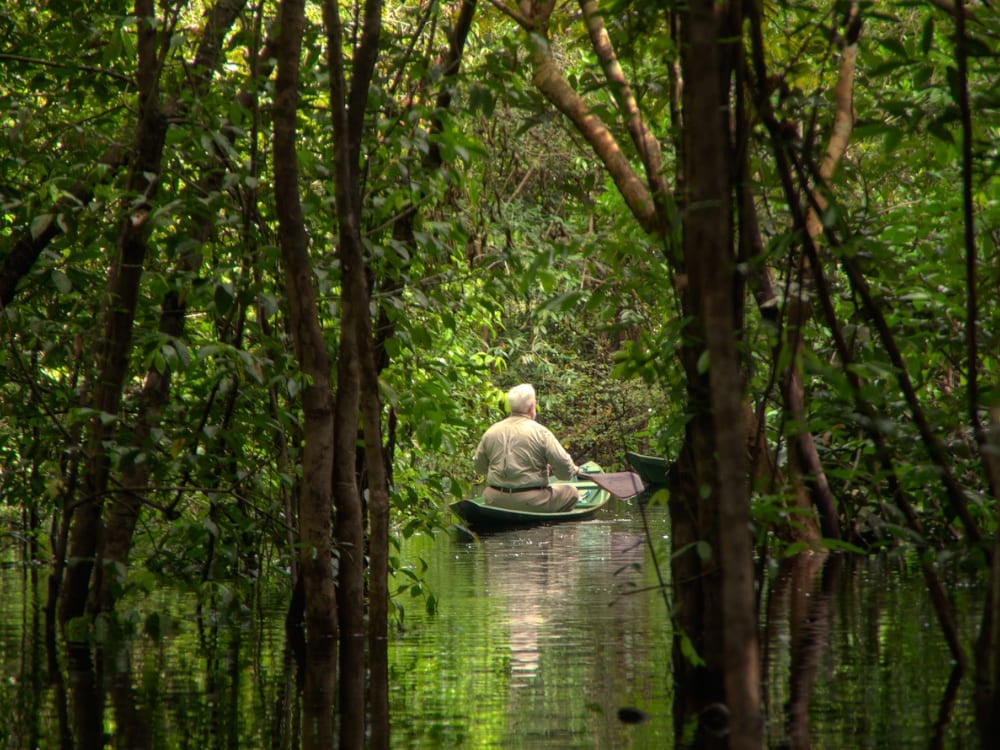 Un viaggiatore pagaia su una piccola canoa di legno lungo un fiume di acque nere allagato, in Amazzonia.