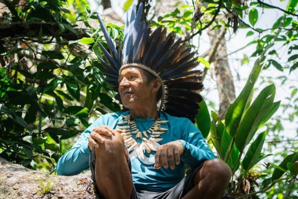 Guida locale mostra ai visitatori la foresta amazzonica viva
