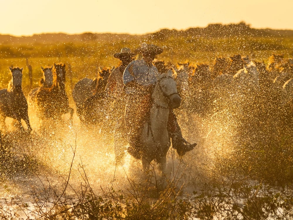 Traditional cowboys riding horses in the Southern Pantanal, offering cultural immersion often included in a Pantanal road trip or farm stay.