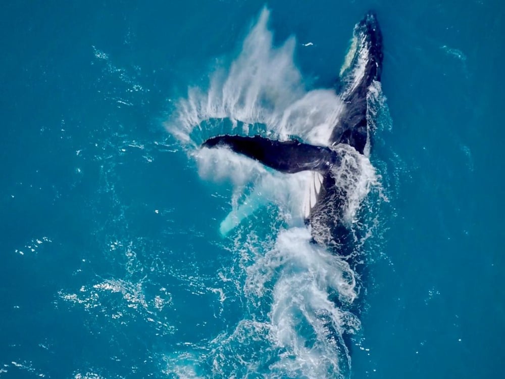 Abrolhos (Bahia)