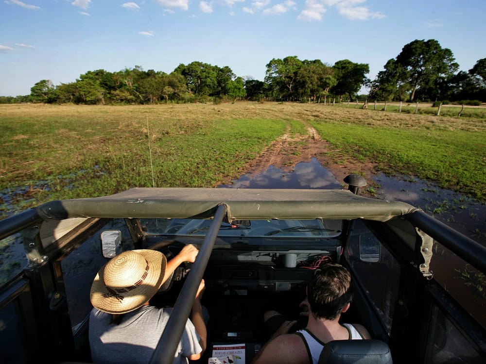 View from inside a jeep traversing wet terrain, typical of an authentic Pantanal safari adventure.
