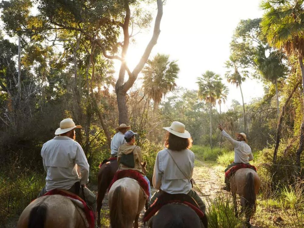 Group of tourists horseback riding through the Pantanal wetlands guided by local experts.