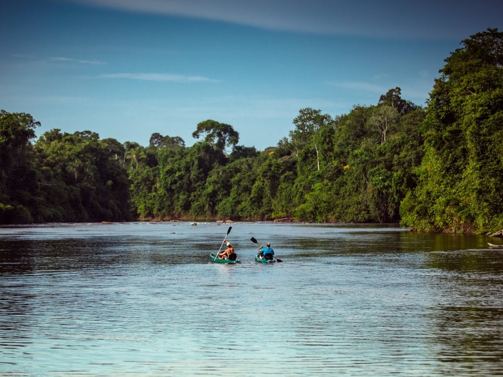 Travelers kayaking down a tranquil Amazon river, enjoying an eco-friendly way to observe the rainforest ecosystem up close. Travelers kayaking down a tranquil Amazon river, enjoying an eco-friendly way to observe the rainforest ecosystem up close.
