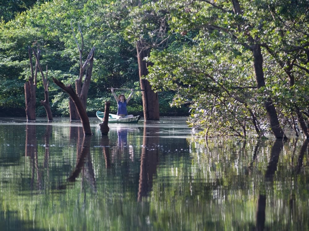 Canoe navigating through the flooded forest (igapó) during the wet season in the Amazon, surrounded by water-reflected trees. Canoe navigating through the flooded forest (igapó) during the wet season in the Amazon, surrounded by water-reflected trees.