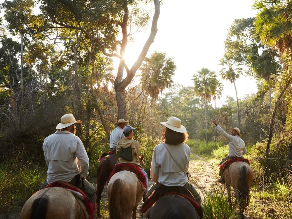 A group of travelers on horseback led by a guide through a sunlit forest trail in the Pantanal.