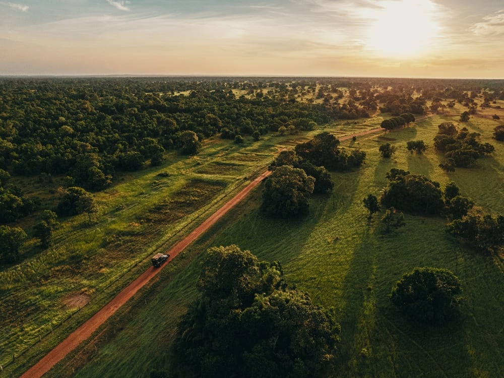 A 4x4 safari vehicle driving along a dirt road through the lush wetlands of Pantanal, Brazil.