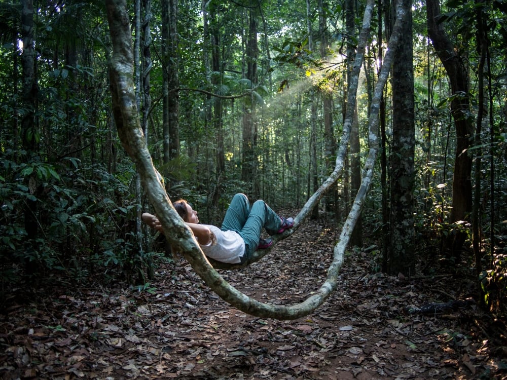Tourist relaxing in a vine hammock within the Amazon rainforest during a Brazil eco tour.