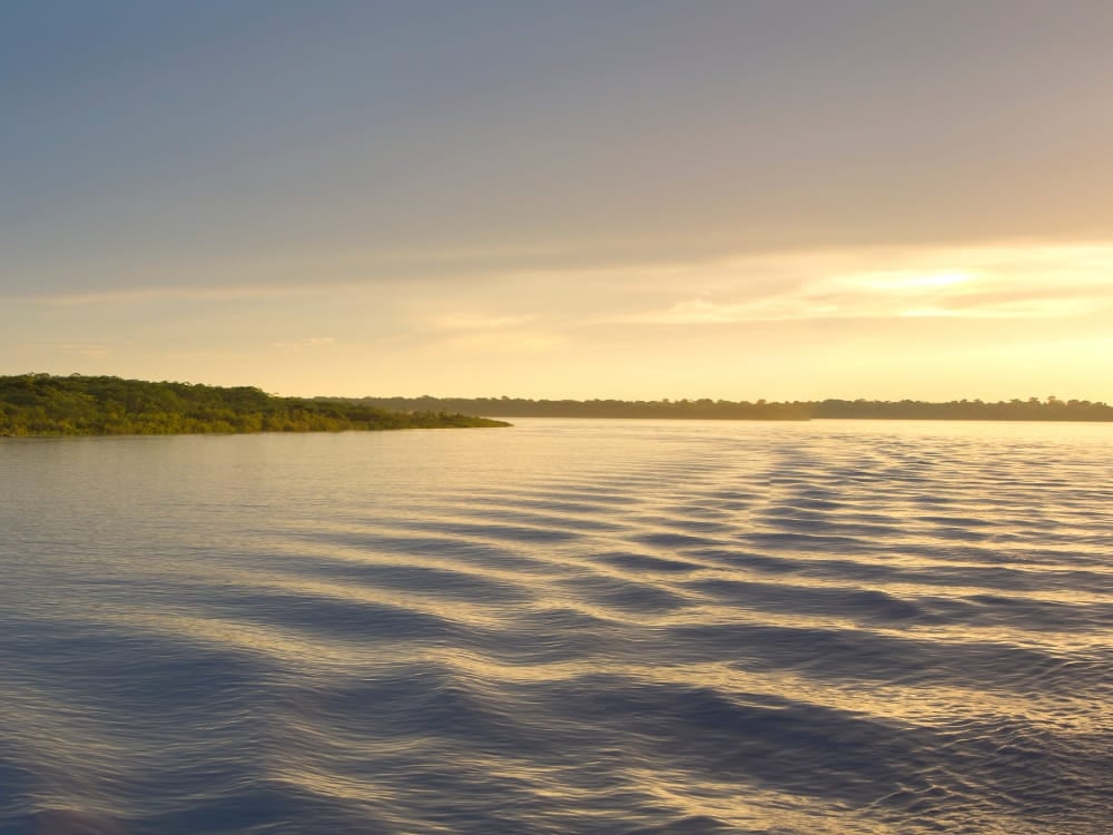 Foto tomada desde dentro del río Amazonas con el sol brillando sobre el agua.