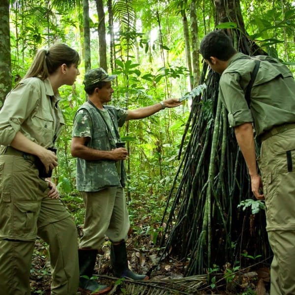 Naturalist guide teaching two travelers to read the forest during an Amazon jungle hike