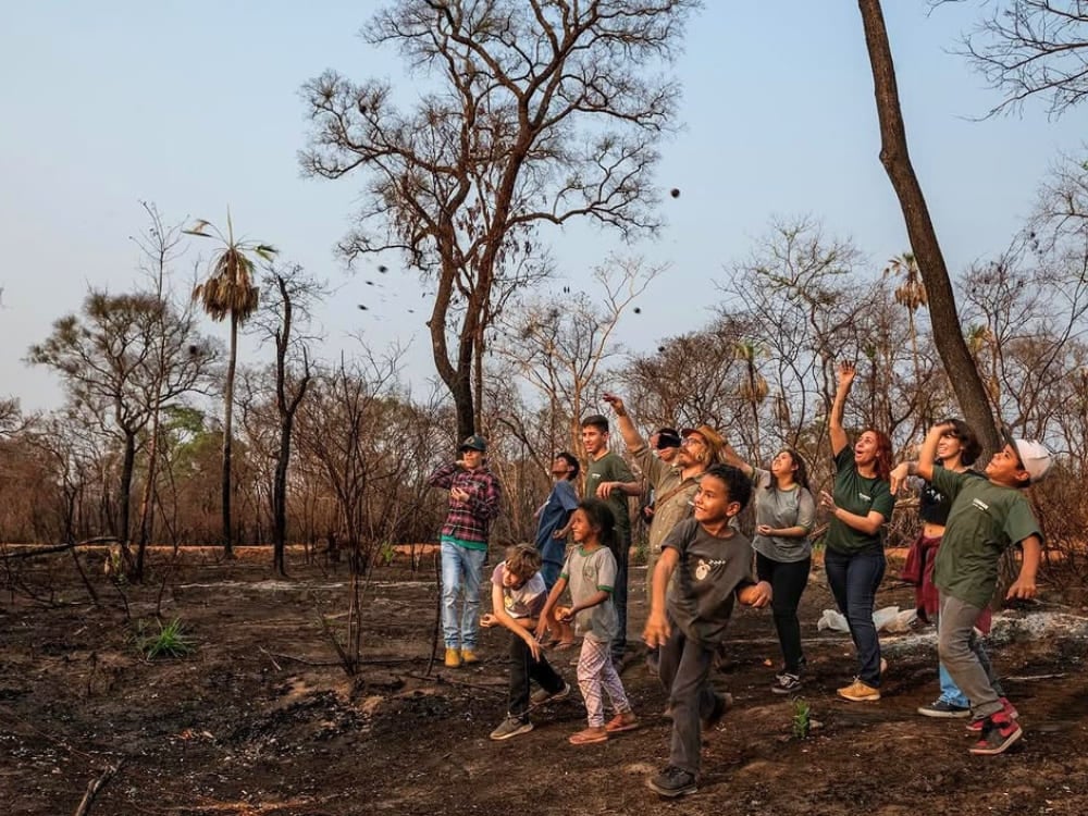 Ecotourisme au Pantanal