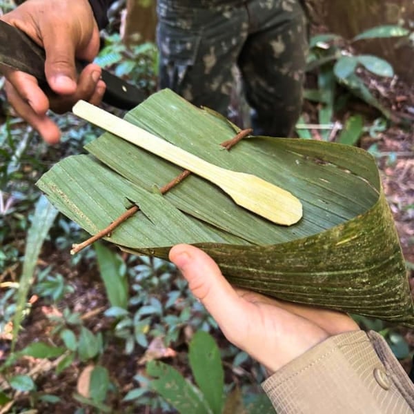 Un guía muestra un plato y una cuchara tallados de una hoja de palmera durante una caminata por la selva amazónica