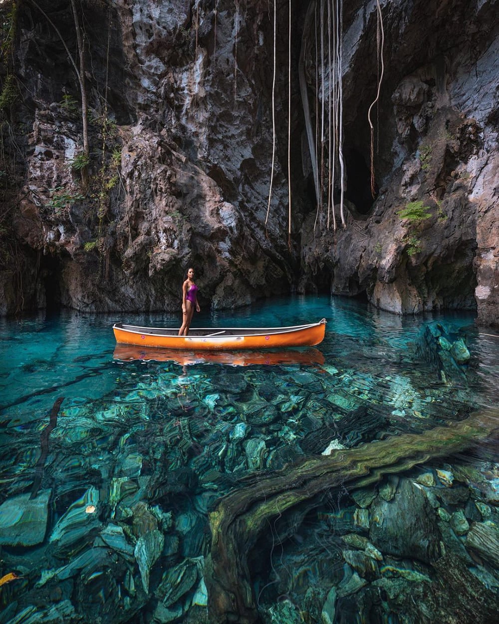 Le acque trasparenti della Lagoa do Japonês invitano a un bagno, in Jalapão, Tocantins Le acque trasparenti della Lagoa do Japonês invitano a un bagno, in Jalapão, Tocantins