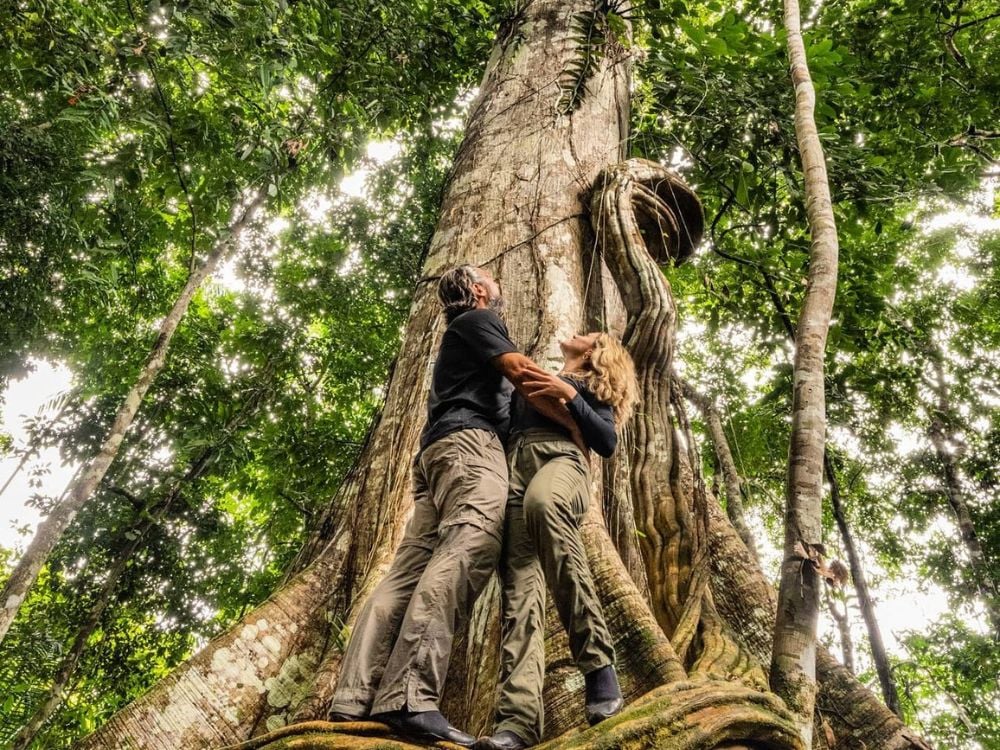 Amazzonia - Le 7 migliori destinazioni di ecoturismo in Brasile da visitare nel 2024 Amazzonia - Le 7 migliori destinazioni di ecoturismo in Brasile da visitare nel 2024