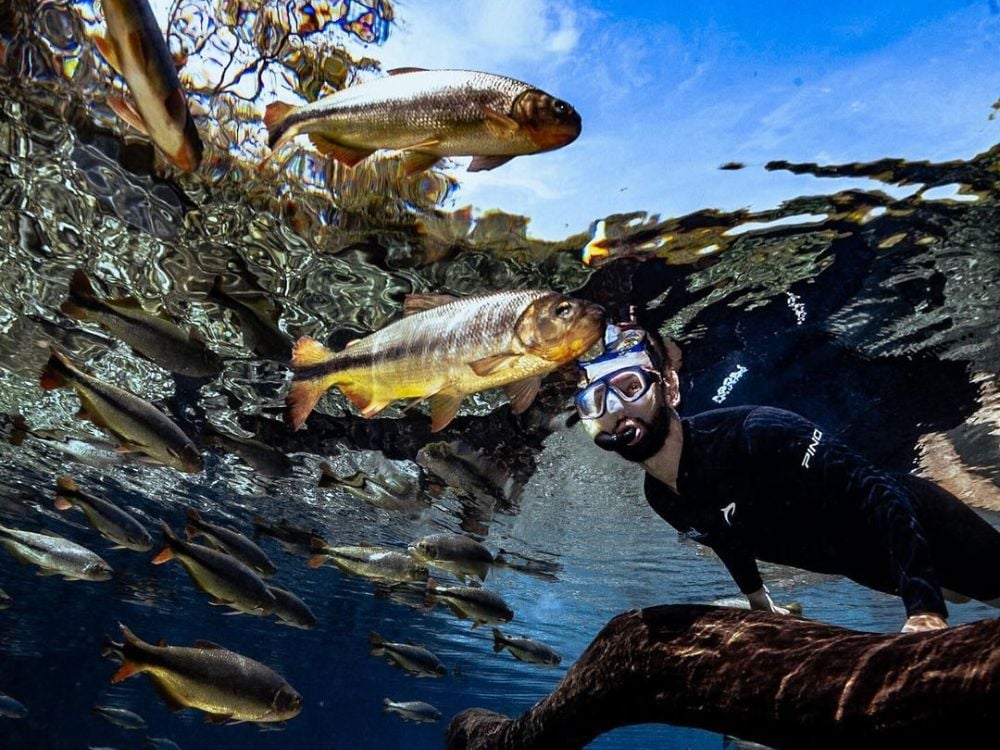 Bonito - Le 7 migliori destinazioni di ecoturismo in Brasile da visitare nel 2024 Bonito - Le 7 migliori destinazioni di ecoturismo in Brasile da visitare nel 2024