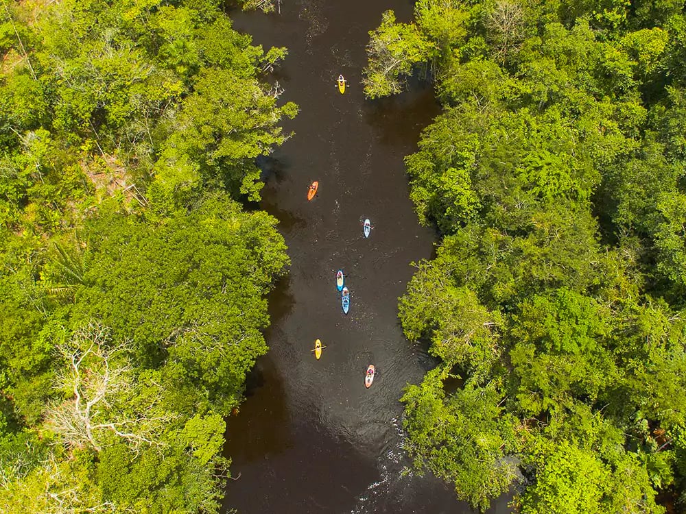 Veduta aerea di un gruppo di turisti in kayak su un fiume amazzonico scuro, circondato da fitta foresta verde. Veduta aerea di un gruppo di turisti in kayak su un fiume amazzonico scuro, circondato da fitta foresta verde.