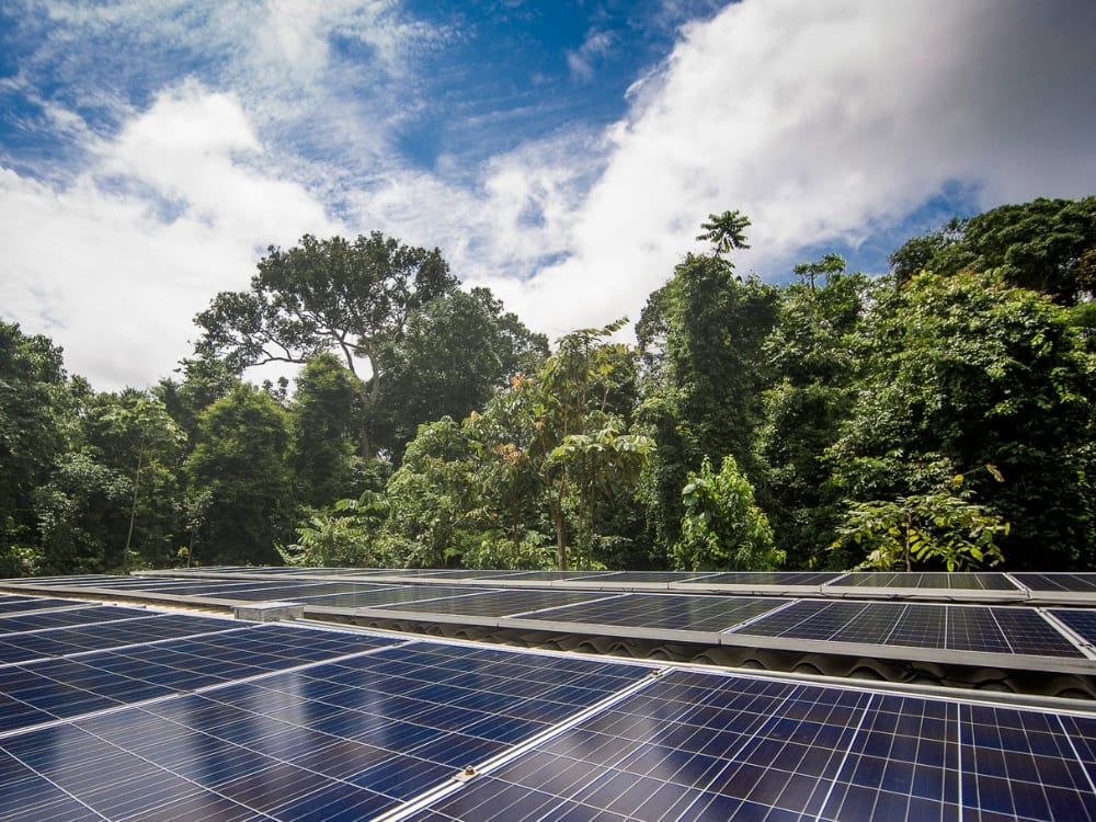 Ökotourismus im Amazonas-Regenwald - Solarkanäle Ökotourismus im Amazonas-Regenwald - Solarkanäle