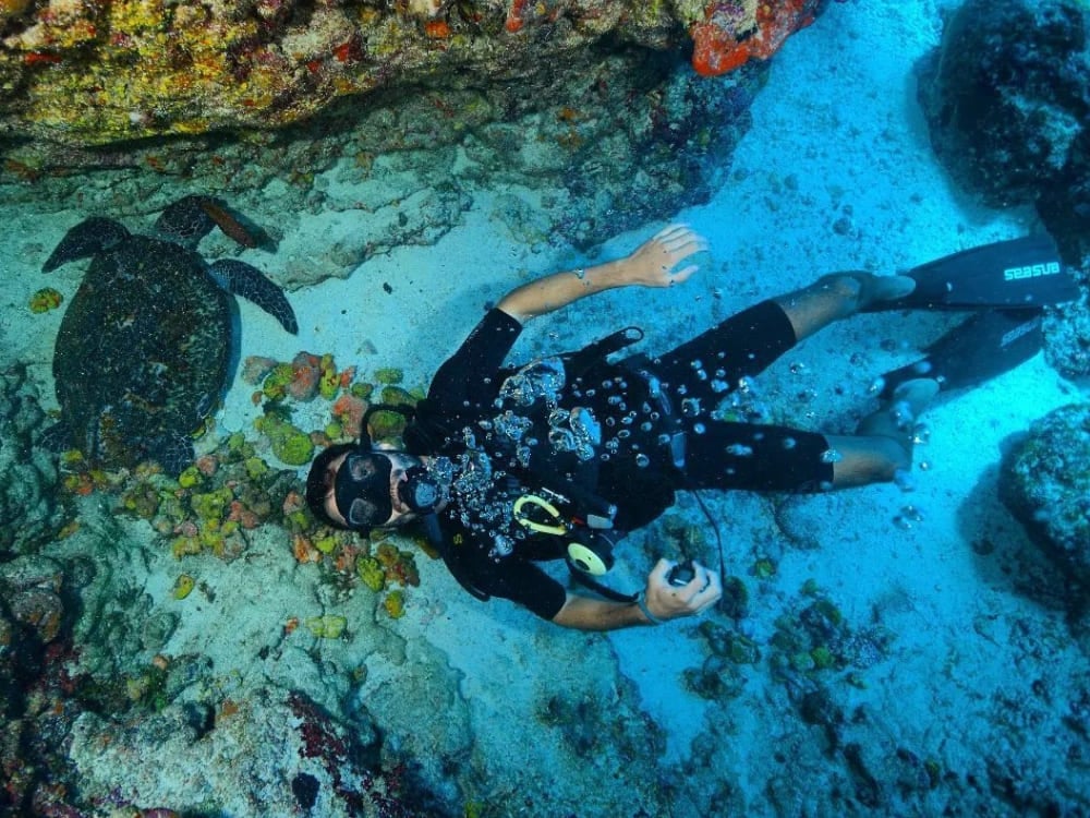 Guida alle immersioni a Fernando de Noronha Guida alle immersioni a Fernando de Noronha