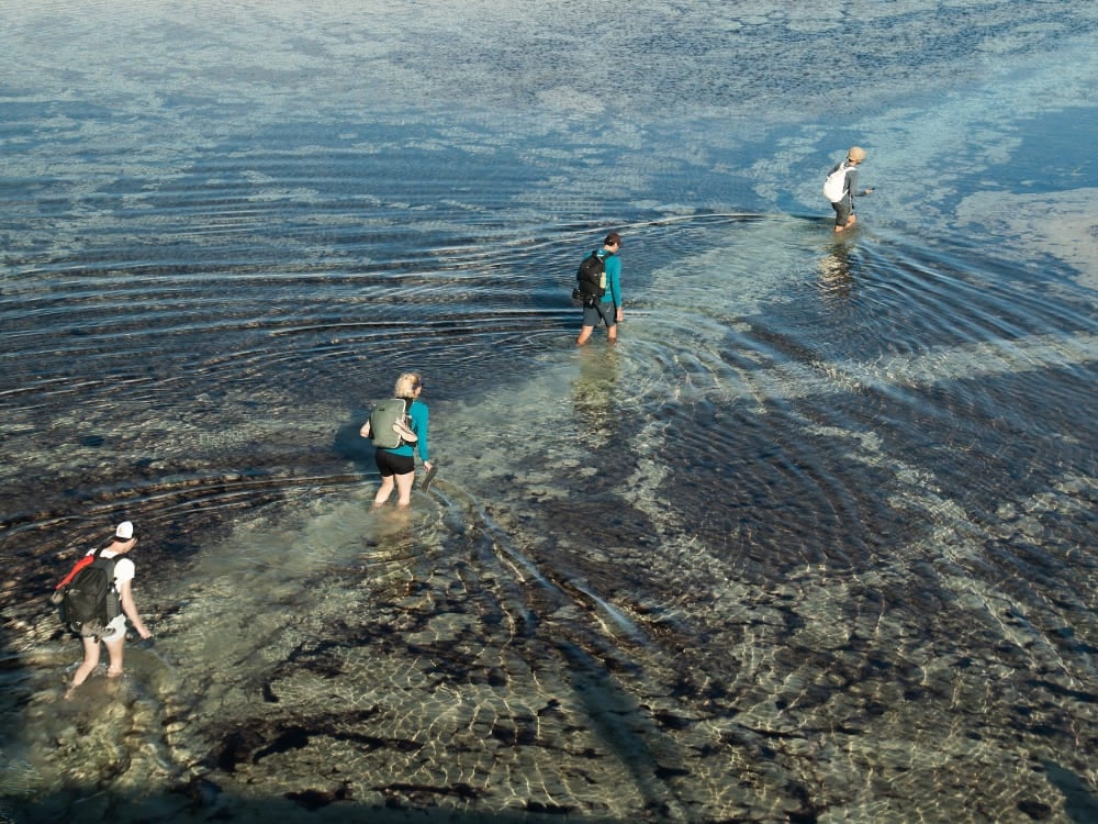 Un gruppo di viaggiatori guada una laguna poco profonda durante la traversata a piedi del parco nazionale. Un gruppo di viaggiatori guada una laguna poco profonda durante la traversata a piedi del parco nazionale.