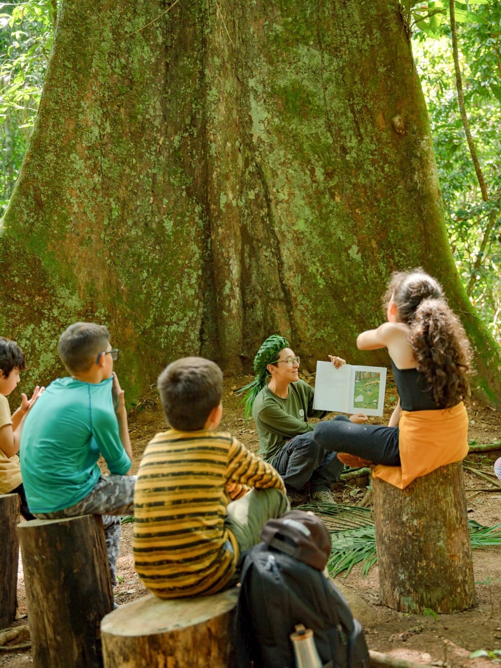 Cristalino Lodge, Amazzonia Cristalino Lodge, Amazzonia