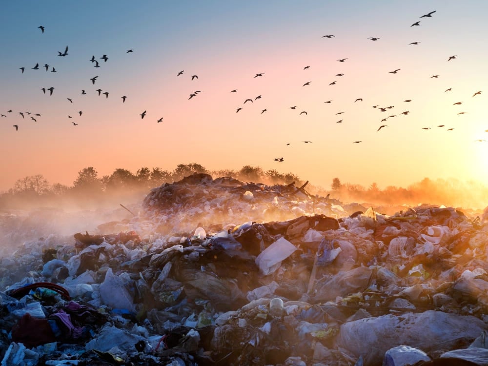 Modi per ridurre la plastica Modi per ridurre la plastica