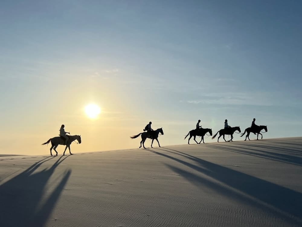 Le sagome di cinque persone a cavallo sulle dune di sabbia dei Lençóis Maranhenses, sotto il sole intenso del tardo pomeriggio. Le sagome di cinque persone a cavallo sulle dune di sabbia dei Lençóis Maranhenses, sotto il sole intenso del tardo pomeriggio.