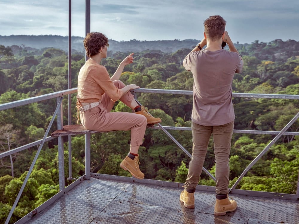 Birdwatching nella Foresta Amazzonica Birdwatching nella Foresta Amazzonica