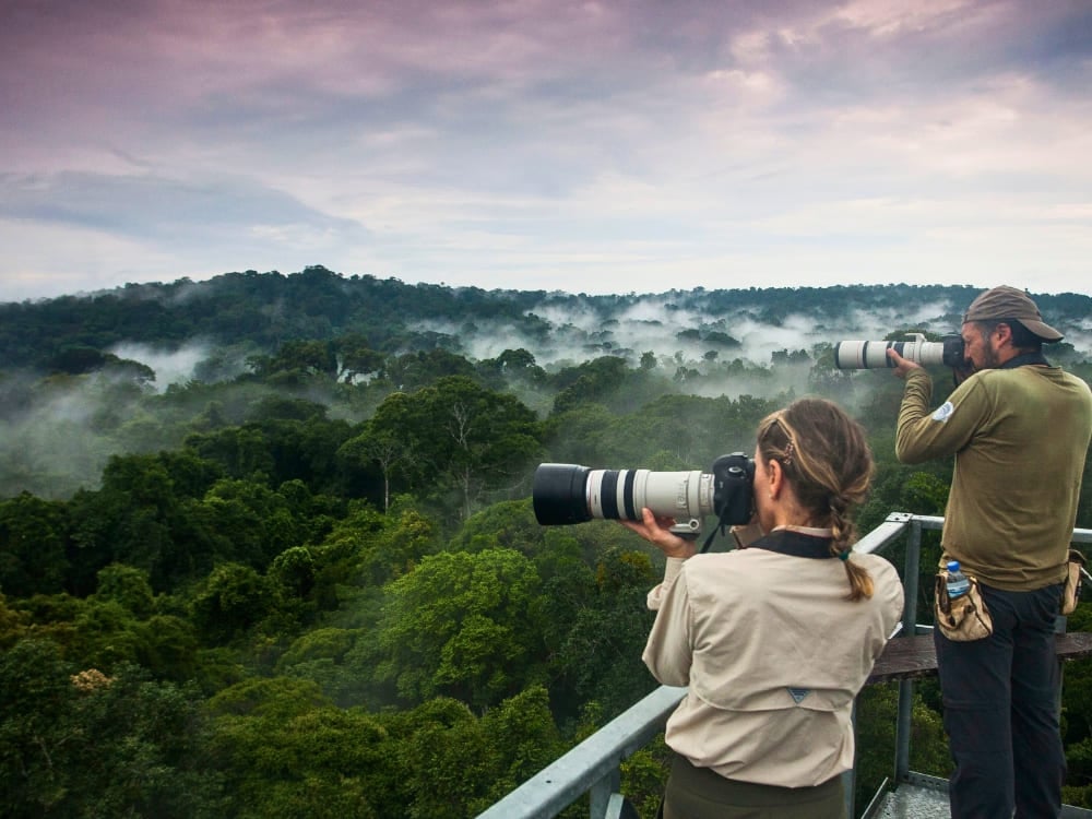 Turisti su una torre di osservazione che usano grandi macchine fotografiche e binocoli per osservare la fauna nell'Amazzonia brasiliana. Turisti su una torre di osservazione che usano grandi macchine fotografiche e binocoli per osservare la fauna nell'Amazzonia brasiliana.
