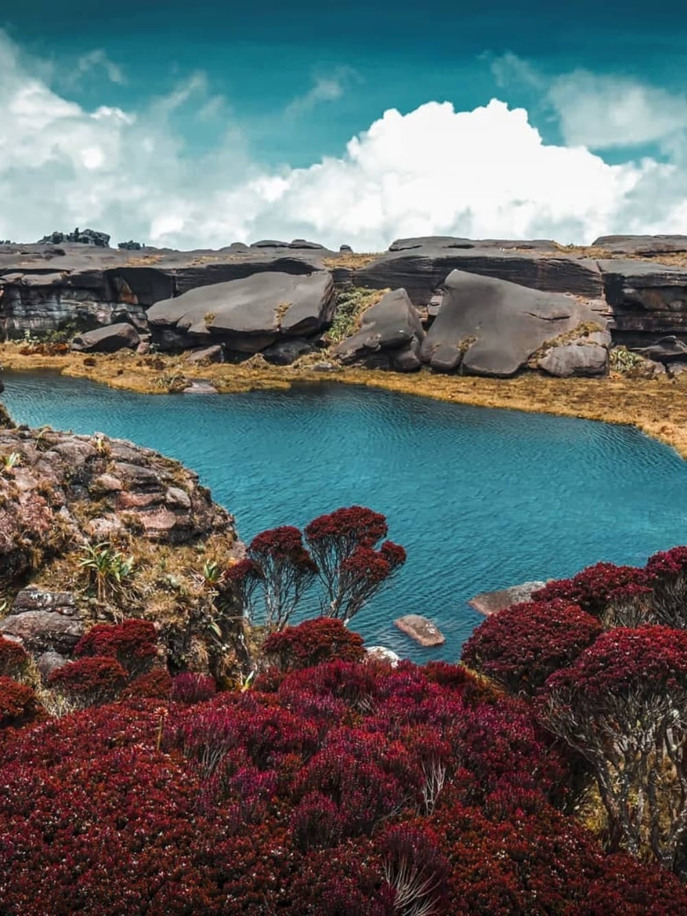 Cosa c'è in cima al Monte Roraima Cosa c'è in cima al Monte Roraima
