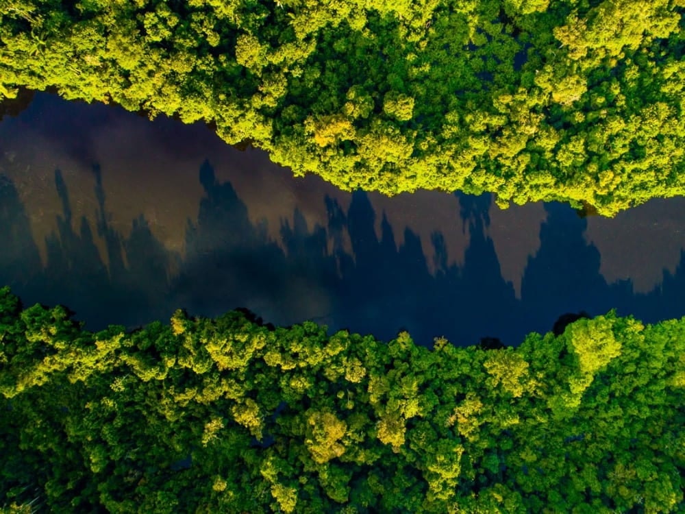 Una veduta aerea mostra le acque scure del Rio Negro che tagliano la chioma verde della foresta amazzonica. Una veduta aerea mostra le acque scure del Rio Negro che tagliano la chioma verde della foresta amazzonica.