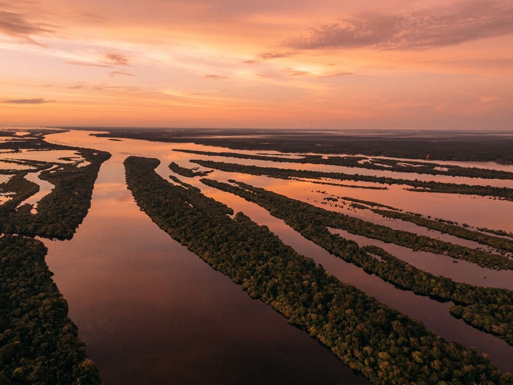 Un tramonto acceso si riflette sulla rete di isole e canali dell'arcipelago Anavilhanas. Un tramonto acceso si riflette sulla rete di isole e canali dell'arcipelago Anavilhanas.