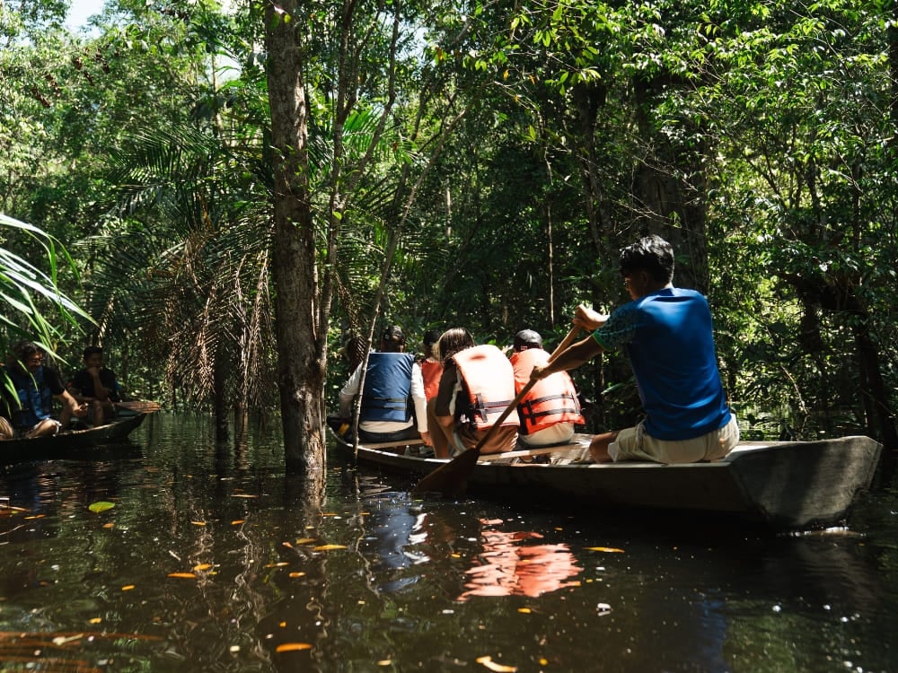 Una guida locale rema una canoa di legno con a bordo alcuni turisti lungo i canali allagati del Parco Nazionale Anavilhanas Una guida locale rema una canoa di legno con a bordo alcuni turisti lungo i canali allagati del Parco Nazionale Anavilhanas