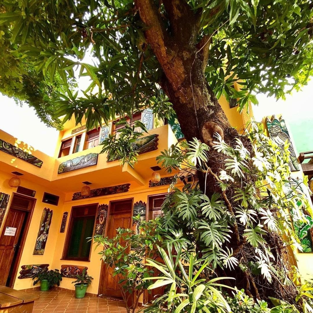L'edificio giallo dell'Hostel Manaus visto da fuori, all'ombra di grandi alberi verdi. L'edificio giallo dell'Hostel Manaus visto da fuori, all'ombra di grandi alberi verdi.