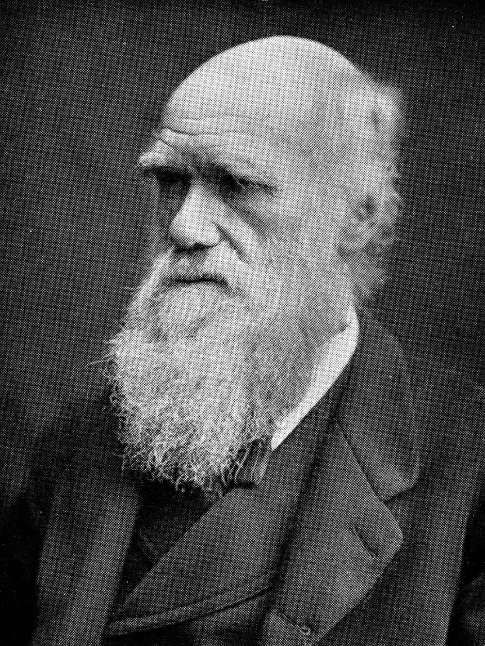 Charles Darwin ad Abrolhos Charles Darwin ad Abrolhos